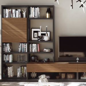 Composición para el salón con muebles para TV con librería y vitrinas incorporadas